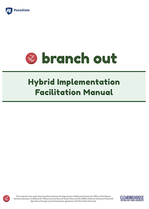 Image for Branch Out Hybrid Implementation Facilitation Manual