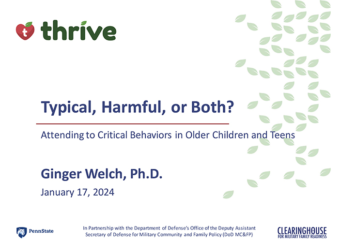 Image for Typical, Harmful, or Both? Attending to Critical Behaviors Presentation