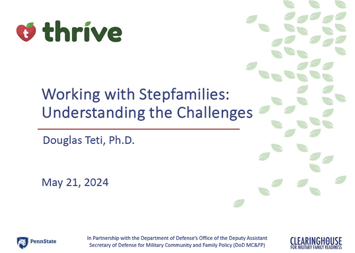 Image for Working with Stepfamilies: Understanding the Challenges